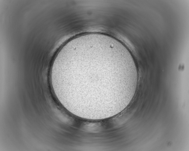 X0000091060155200709041206