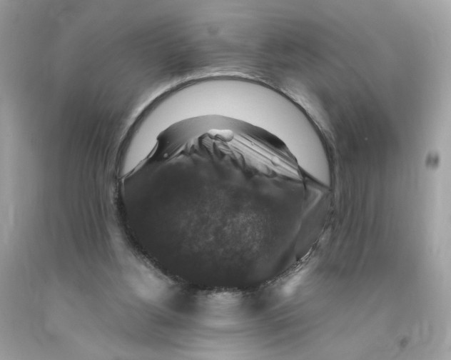 X0000091060156200709041206