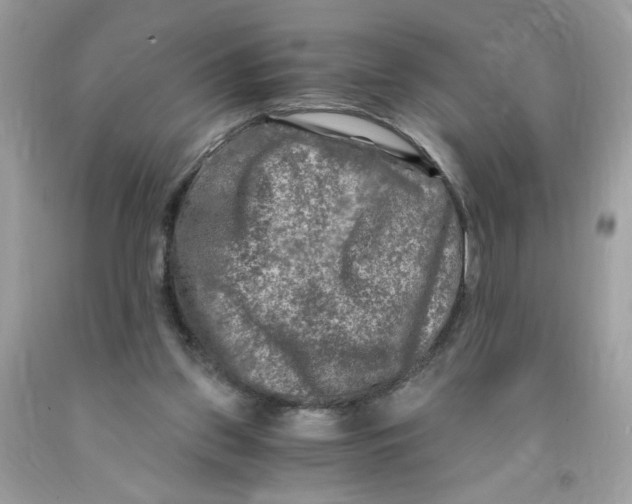 X0000091060157200709041206