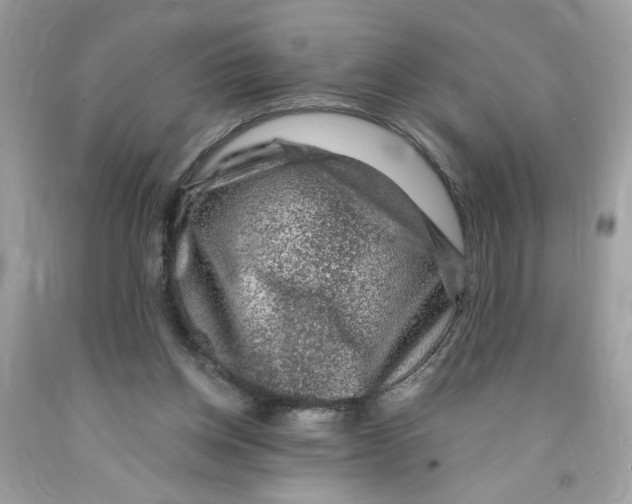 X0000091060158200709041206