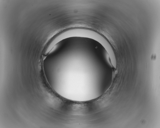 X0000091060160200709041206