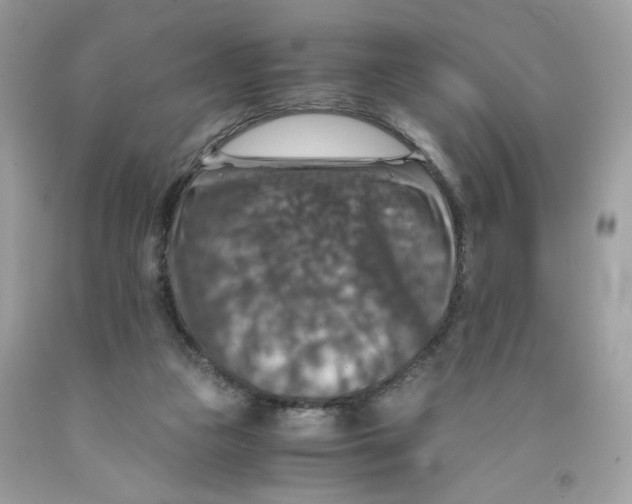 X0000091060161200709041206