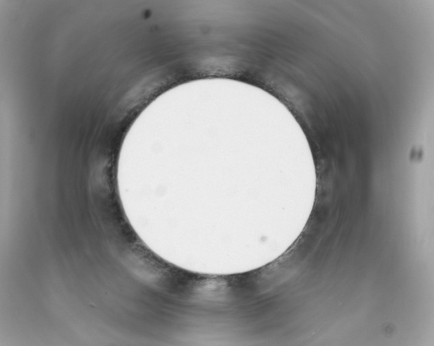 X0000091060162200709041206