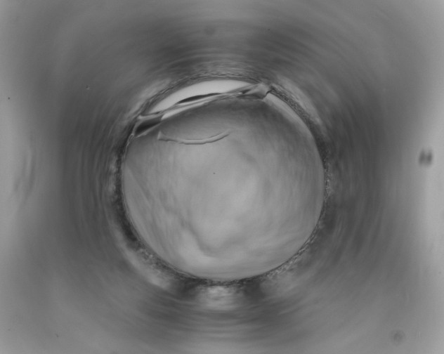 X0000091060163200709041206