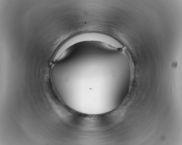 X0000091060164200709041206