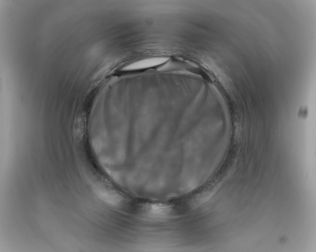 X0000091060165200709041206