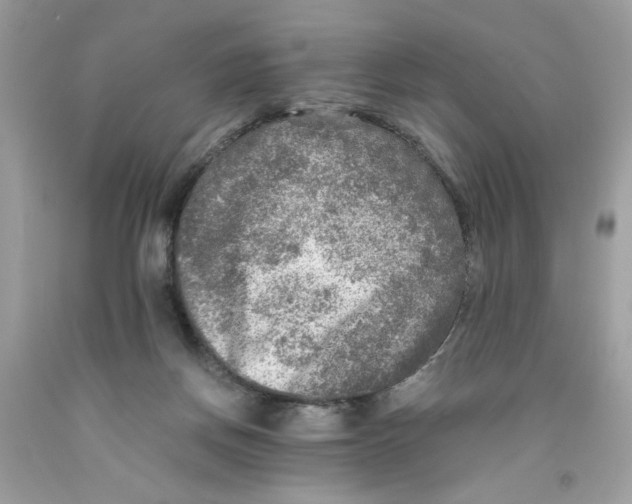 X0000091060166200709041206