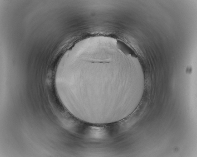 X0000091060167200709041206