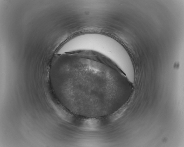 X0000091060168200709041206