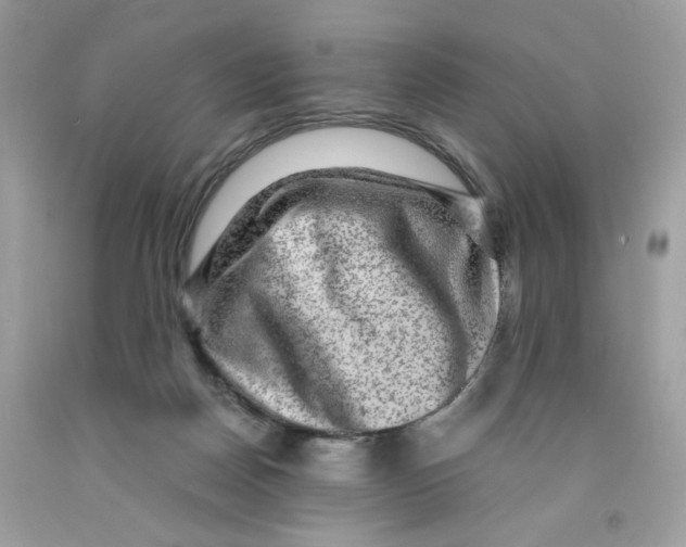 X0000091060170200709041206