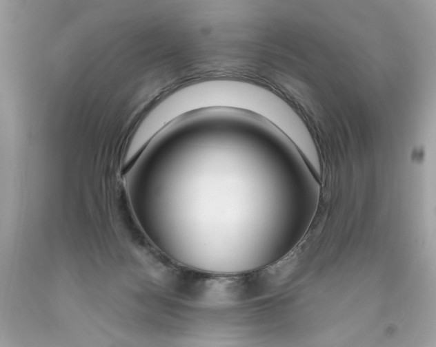 X0000091060172200709041206