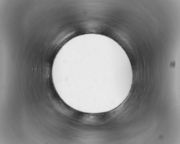 X0000091060174200709041206