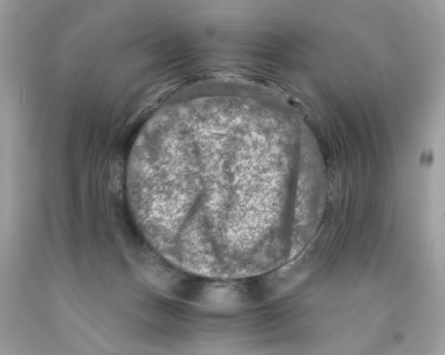 X0000091060175200709041206