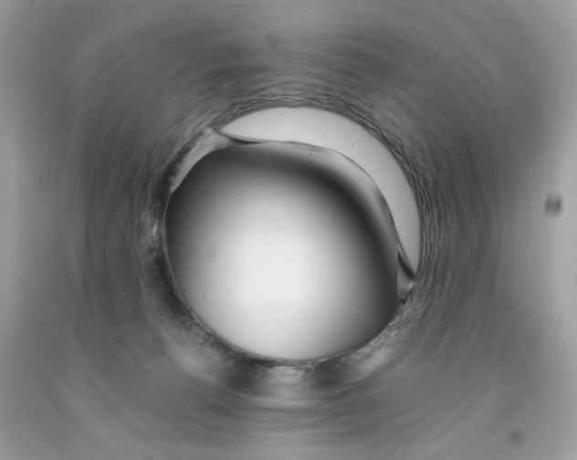 X0000091060176200709041206