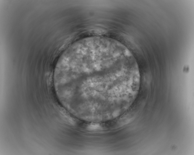 X0000091060177200709041206