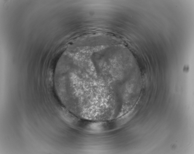 X0000091060178200709041206