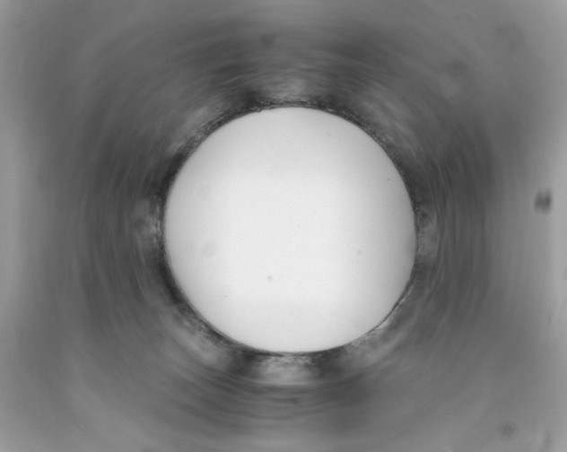 X0000091060179200709041206