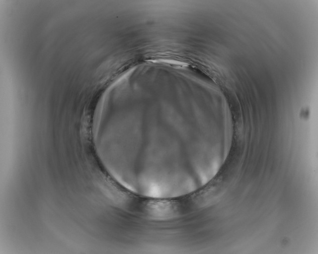 X0000091060181200709041206