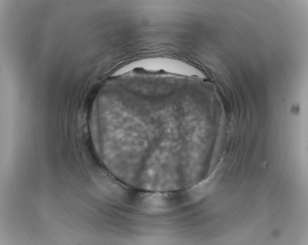 X0000091060182200709041206