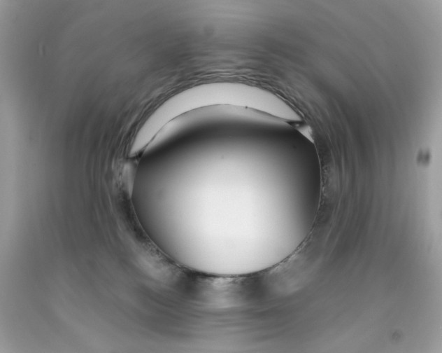 X0000091060184200709041206