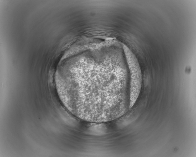 X0000091060185200709041206