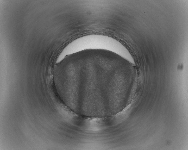 X0000091060186200709041206