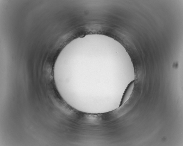 X0000091060187200709041206