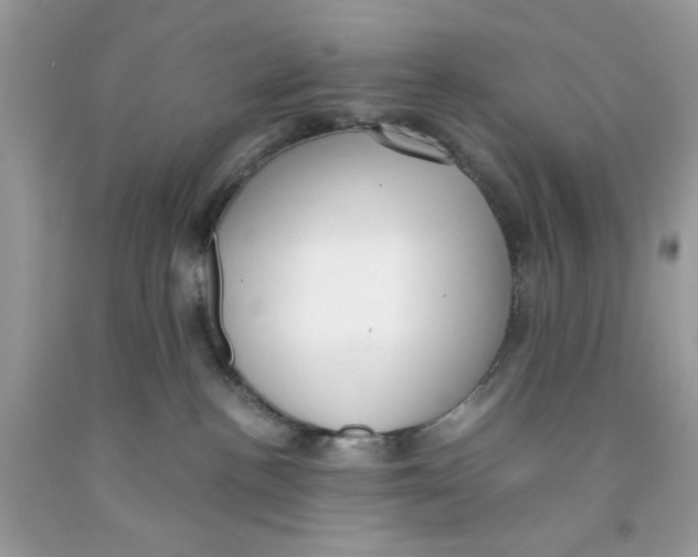 X0000091060188200709041206