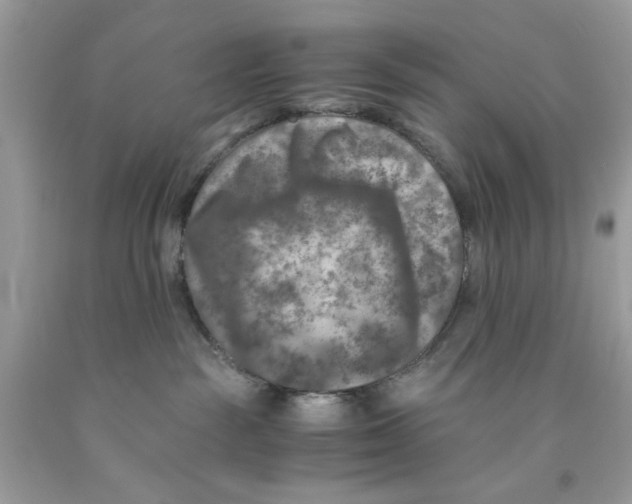 X0000091060189200709041206