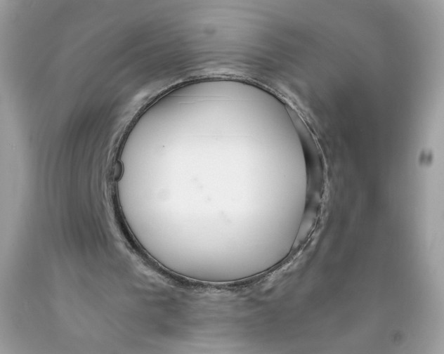 X0000091060193200709041205