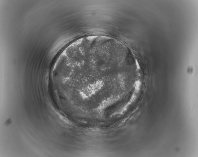 X0000091060194200709041205