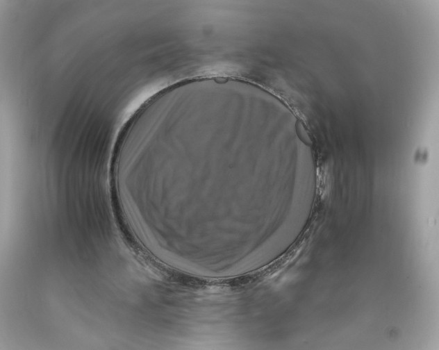 X0000091060196200709041205