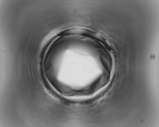 X0000091060197200709041205