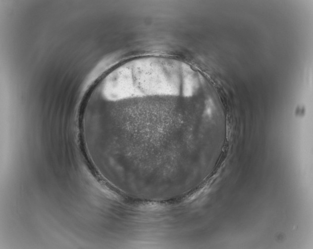 X0000091060198200709041205