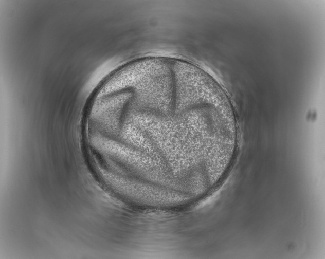 X0000091060199200709041205