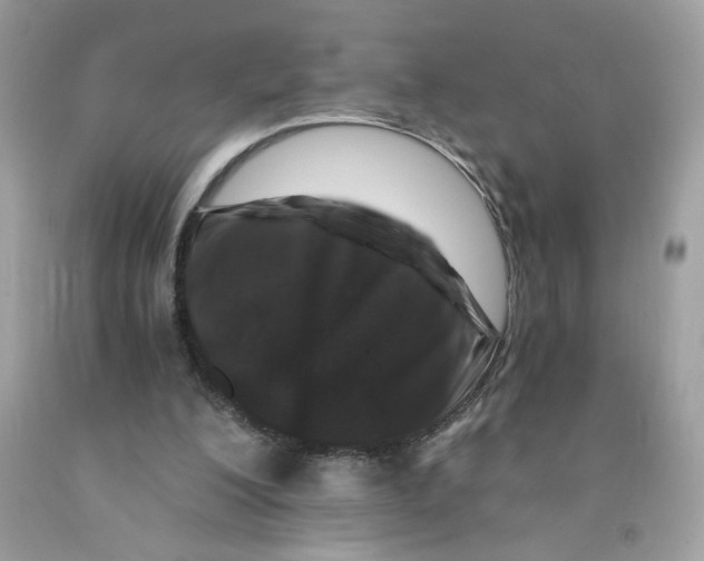 X0000091060200200709041205