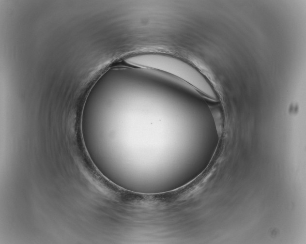 X0000091060201200709041205