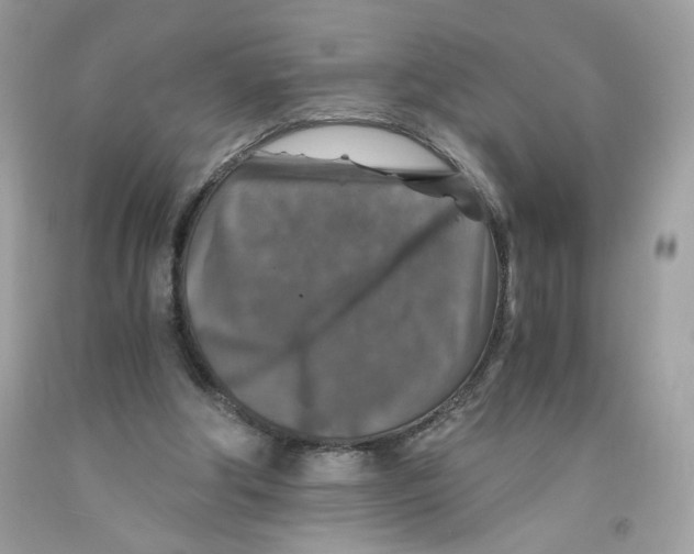 X0000091060202200709041205