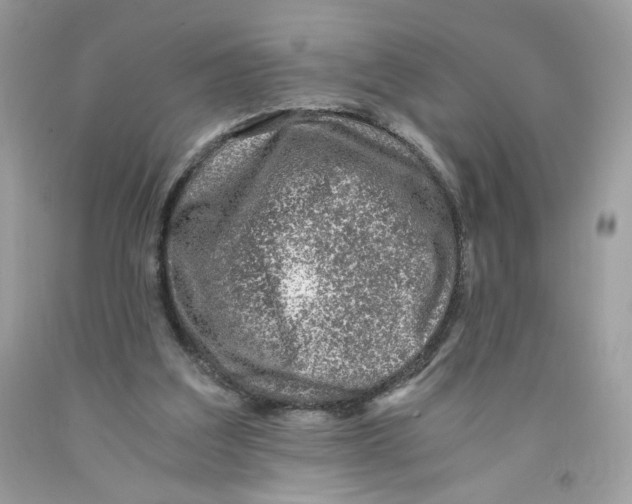 X0000091060203200709041205