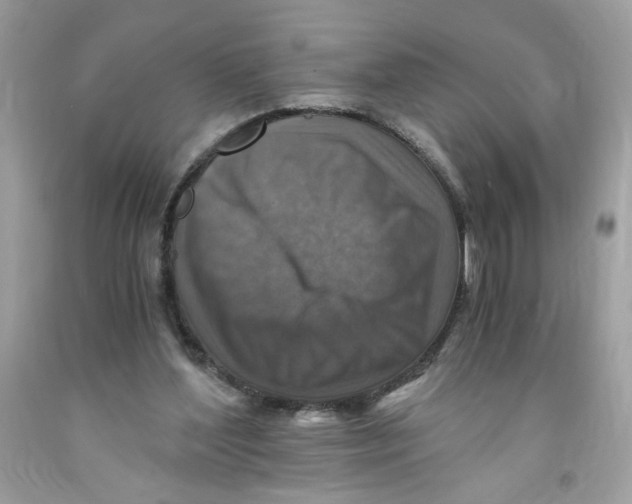 X0000091060204200709041205