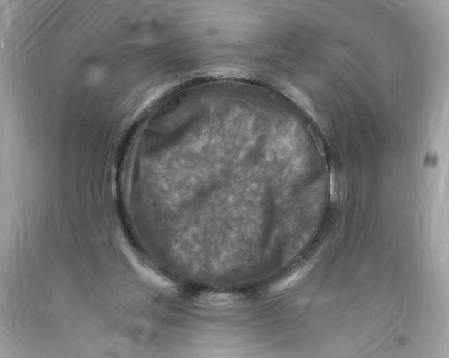 X0000091060205200709041205