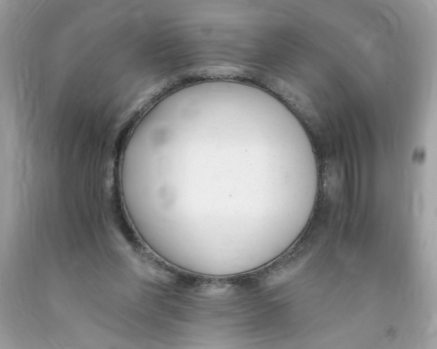 X0000091060206200709041205