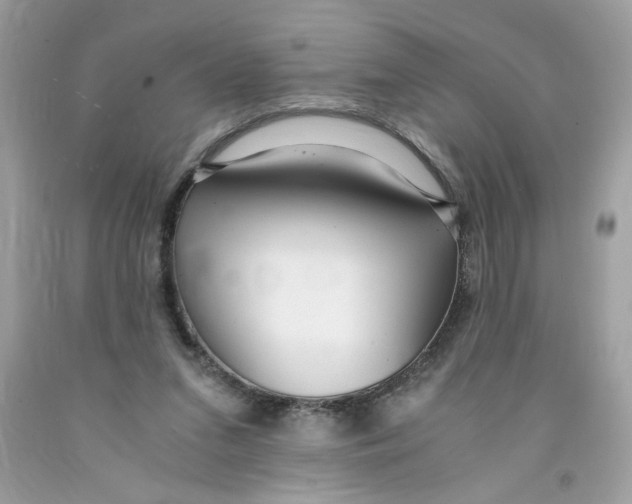 X0000091060207200709041205