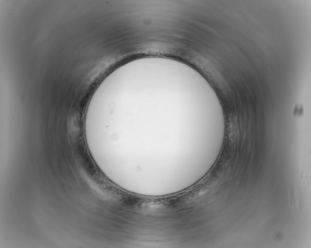 X0000091060208200709041205