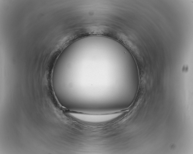 X0000091060209200709041205