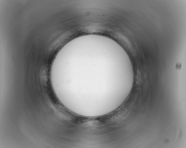 X0000091060210200709041205