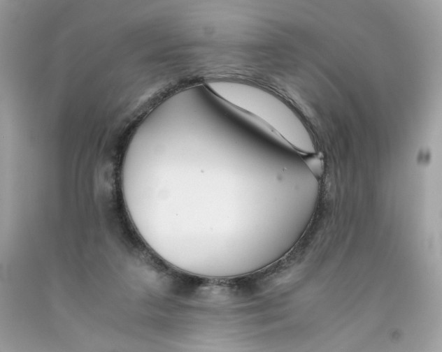 X0000091060211200709041205