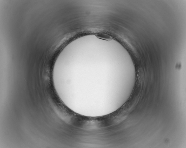 X0000091060212200709041205