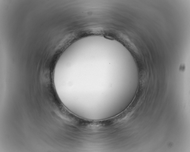 X0000091060213200709041205