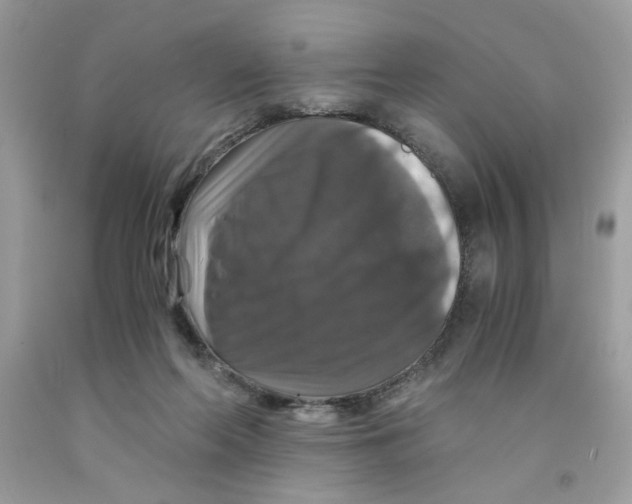 X0000091060214200709041205